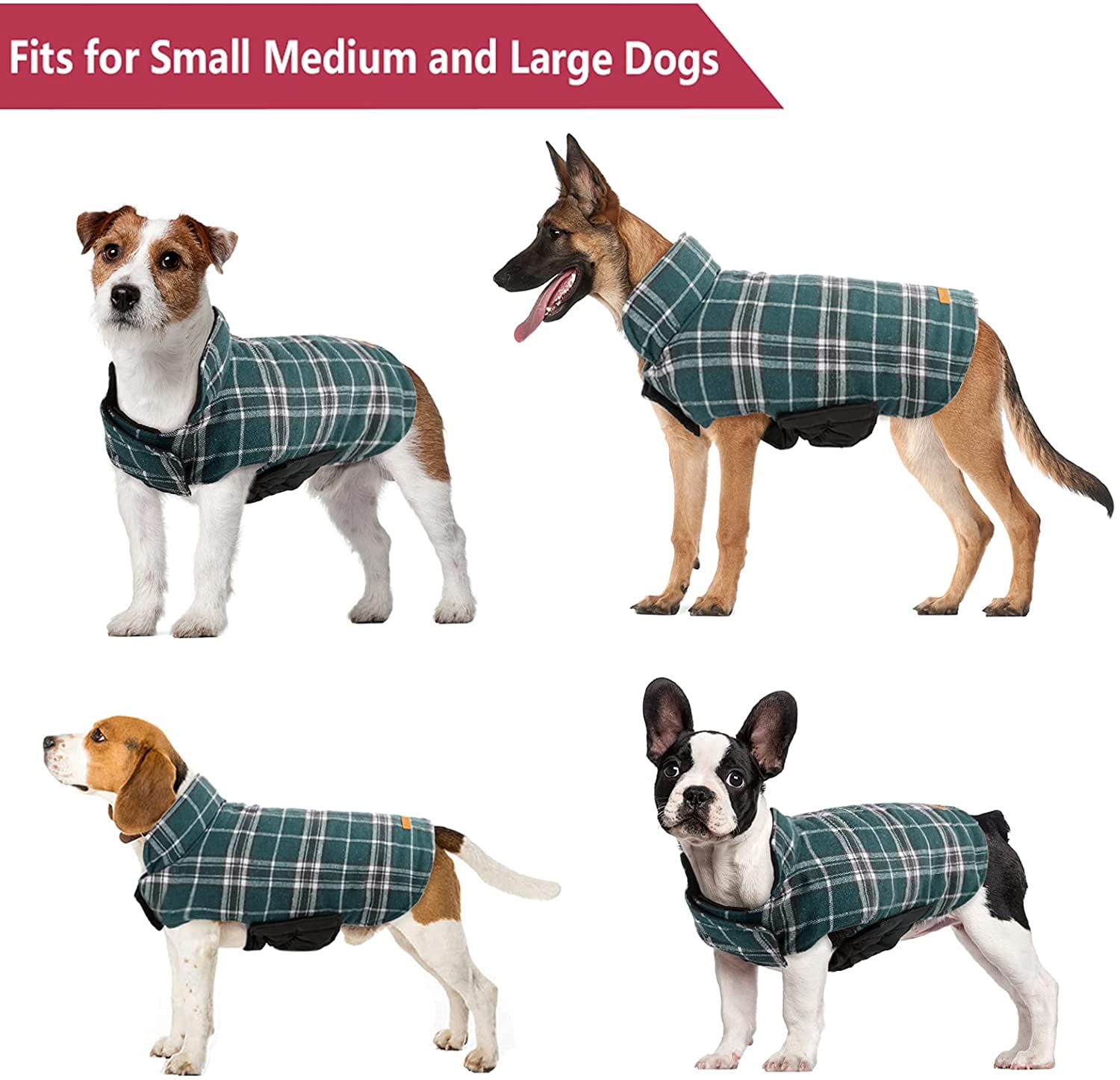 Warm Dog Apparel for Cold Weather 