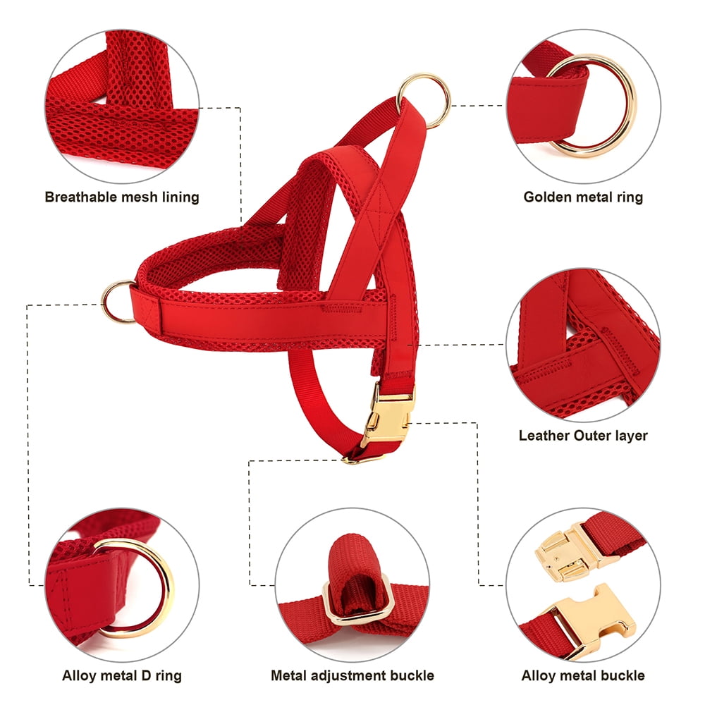 Didog Front Clip No Pull Dog Vest Harness and Leash set Adjustable Mesh Padded Heavy Duty Buckle