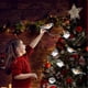 thumbnail image 2 of Outdoor Christmas Decorations Birds String Lights,led Acrylic 5 Birds Lights With Clip Waterproof, 2 of 5