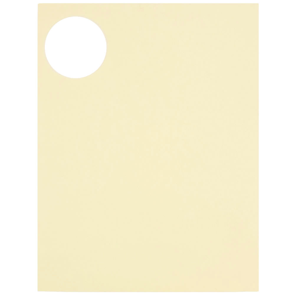 JAM Paper Circle Label Sticker Seals, 2.5 in Diameter, Ivory, 120 Round Labels per Pack