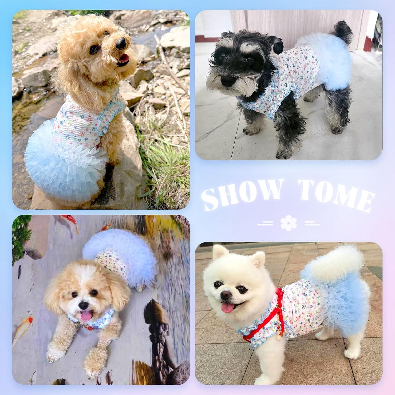 Floral Dog & Cat Dress with Tutu Skirt - Breathable Stretch Pet Clothes for Small Dogs Girl Cats & Puppies Birthday Party Outfit (Blue,Medium)