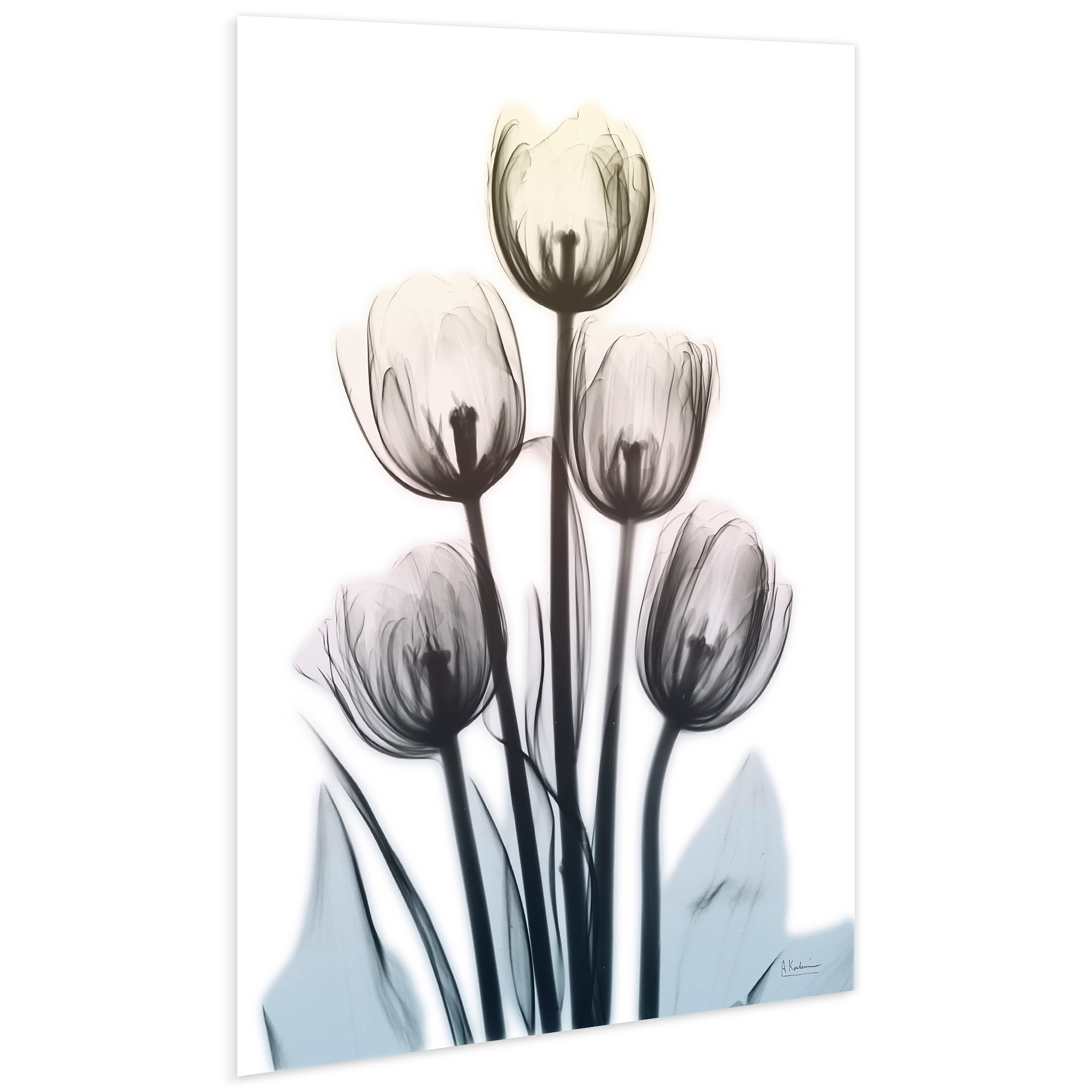 Springing Tulips Frameless Free Floating 32 in x 48 in Painting Art Prints, by Empire Art