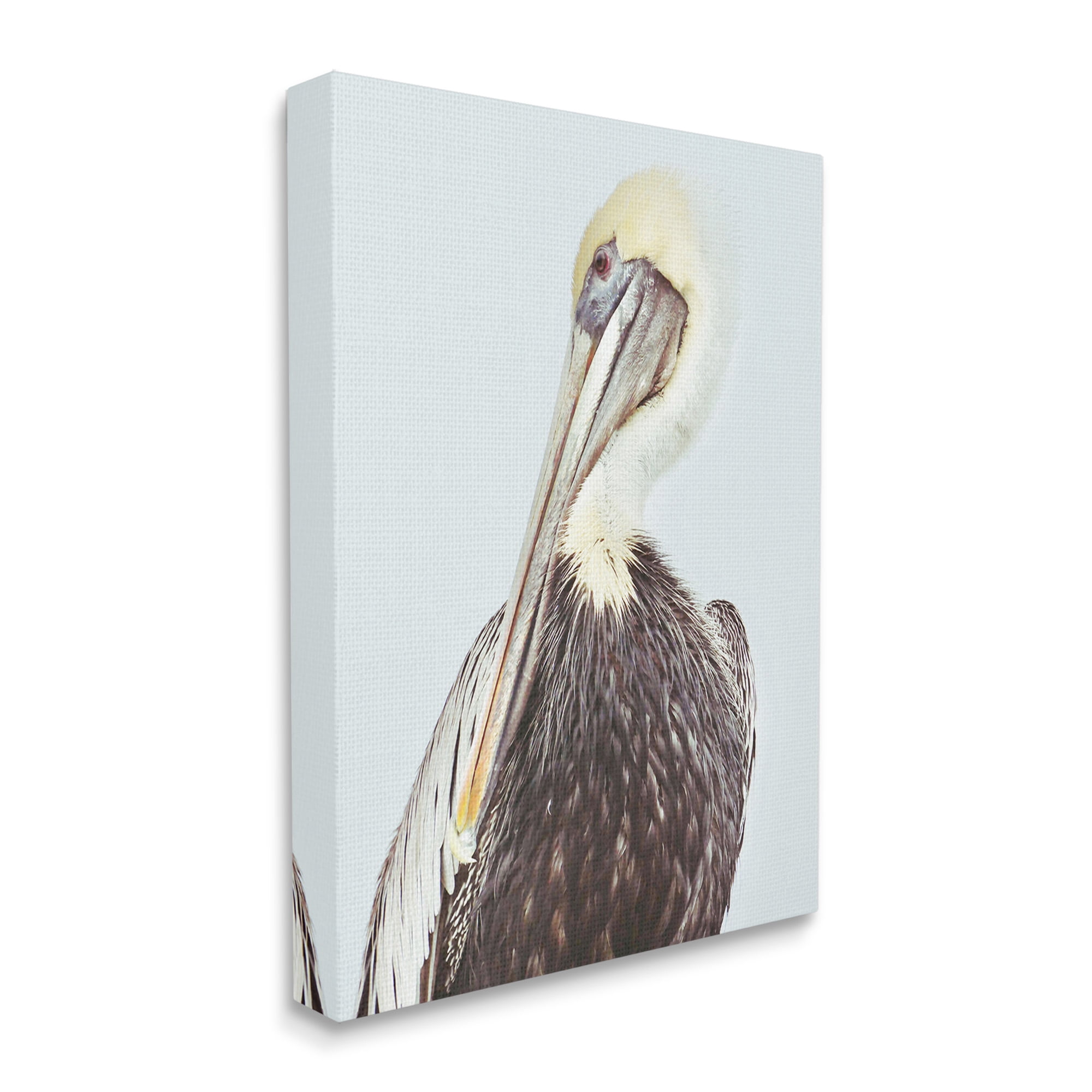 Stupell Industries Preening Pelican Photography Animals & Insects Painting Gallery Wrapped Canvas Art Print Wall Art, 30 x 40