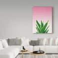 thumbnail image 3 of Trademark Fine Art 'Succulent Simplicity V Pink Ombre Crop' Canvas Art by Felicity Bradley, 3 of 3