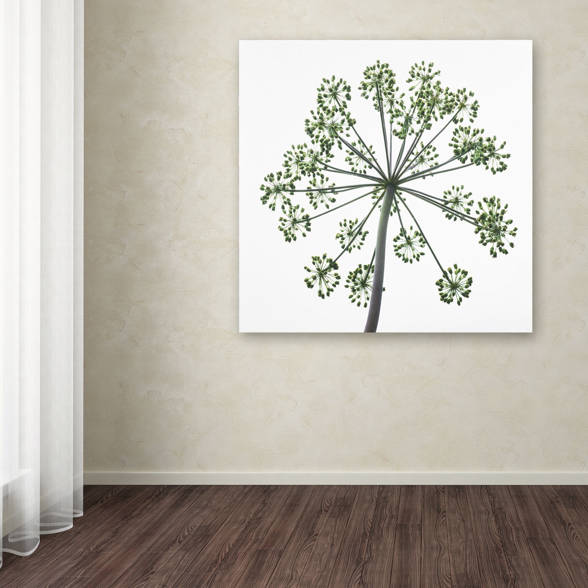 Trademark Fine Art "Nature's Amazing Wonder" Canvas Art by Kurt Shaffer