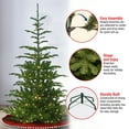 thumbnail image 4 of National Tree Company 7.5 ft. Norwegian Spruce Tree with Clear Lights, 4 of 6