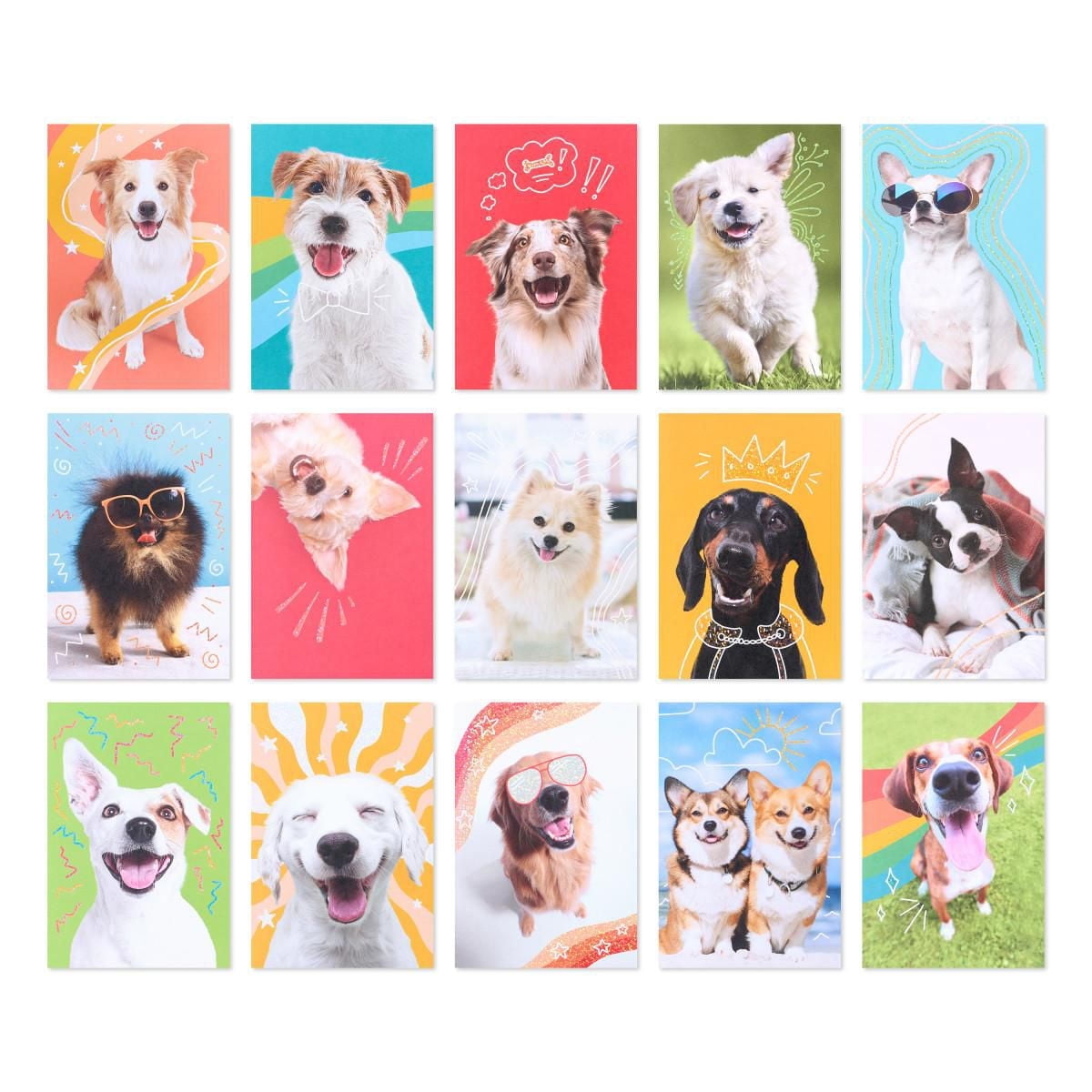 American Greetings - Assortiment en boîte de 15 cartes sans texte et enveloppes, chiens amusants