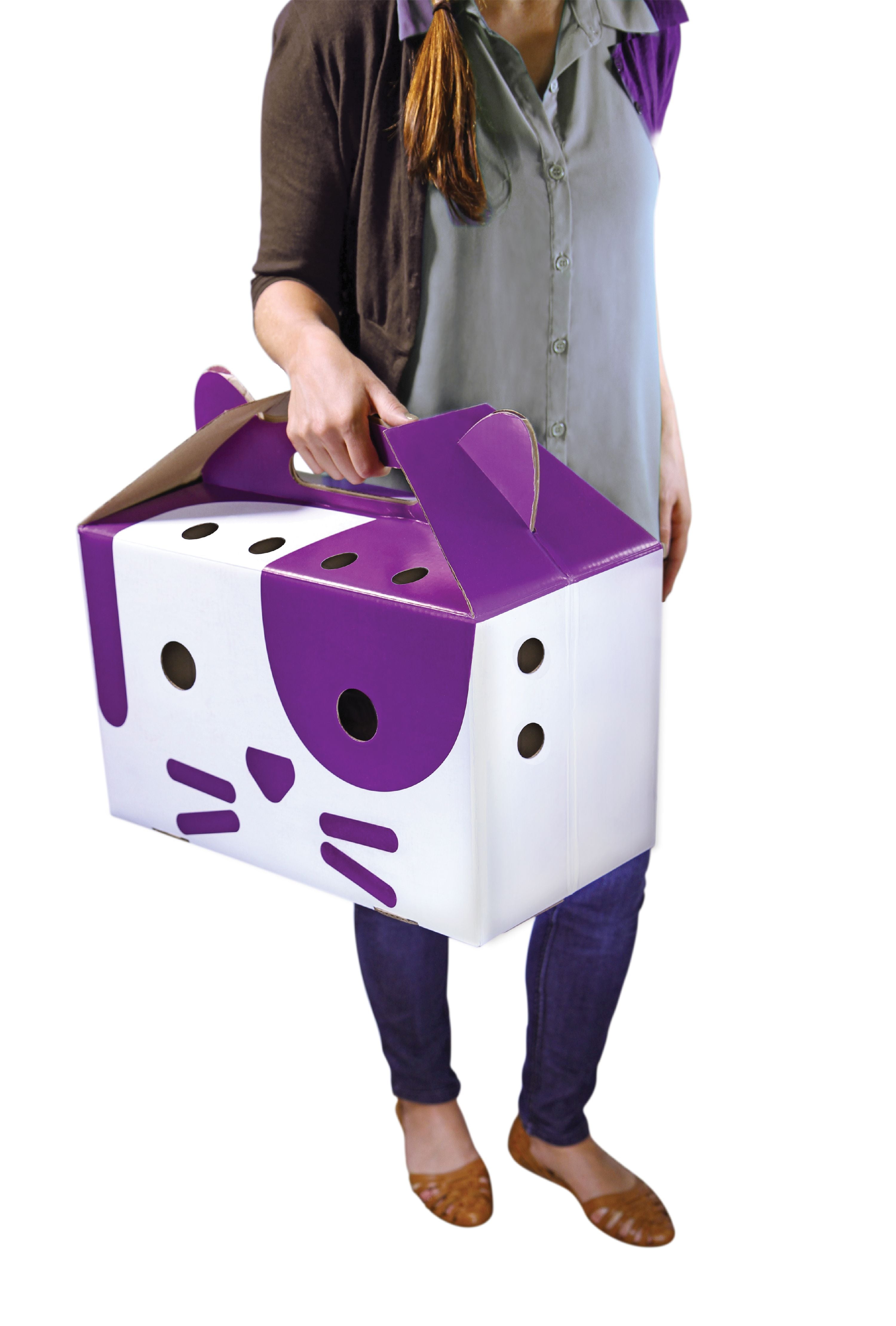 SmartyKat Carryin' Cove Cardboard Cat 