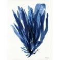 thumbnail image 3 of Stellar Design Studio 19x24 Black Modern Framed Museum Art Print Titled - Transparent Indigo Sea Grass II, 3 of 5