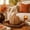 Yellow, variant on Hand Woven Rattan Pumpkins for Fall Decor - Cozy Tiered Tray & Table Centerpiece Ornaments for Halloween, Thanksgiving, and Home Kitchen Styling - Versatile Seasonal Decor for Living Rooms