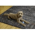 thumbnail image 4 of Tapis lavable Grant 5 pi x 7 pi sarcelle et ivoire, 4 of 8