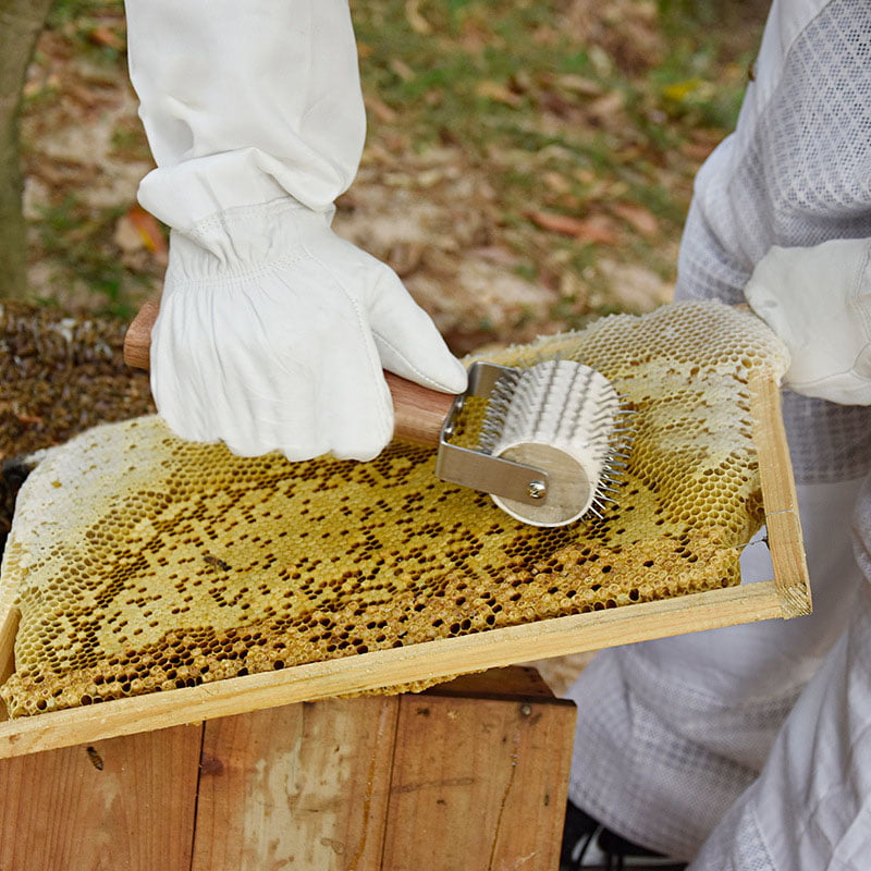 New Beekeeper Uncapping Steel Needle Roller Bee Comb Honey Extracting Beekeeping 