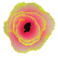 thumbnail image 1 of Simulation Coral Decoration Simulation Lettuce Coral Ornament Fluorescent Aquarium Decoration Aquarium Decoration Simulation Coral Decoration Fluorescent Fish  Plants Decoration, 1 of 8