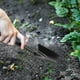 thumbnail image 3 of Pala de Jardinería Pala de Jardín Multiusos Rastrillo Herramienta de Cultivo para Desherbar Bulbos y Cultivar con Agujero para Colgar Herramienta de Jardín para Trabajo Pesado (Negro), 3 of 4