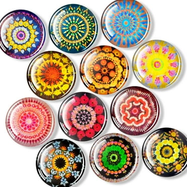 FINDMAG 12 Pcs Cute Fridge Magnets, Strong Refrigerator Magnets, Glass Refrigerator Magnets for Whiteboard, Kitchen, Locker Accessories, Home and Gift