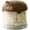 Coffee, variant on Airtight Dog Treat Container with Lid, Moisture-Proof Pet Snack Storage Jar for Countertop, Dog Cat Food Bin for Kitchen Pantry Organization(beige)