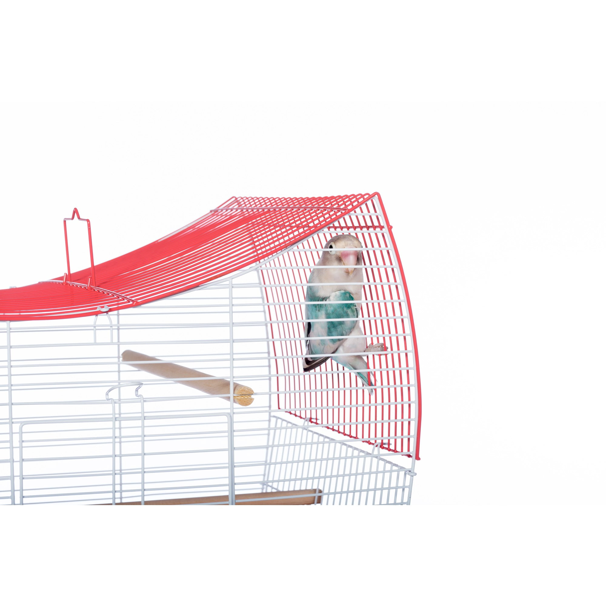Prevue Pet Products Southbeach Coral/White Wave Top Bird Cage SP50110