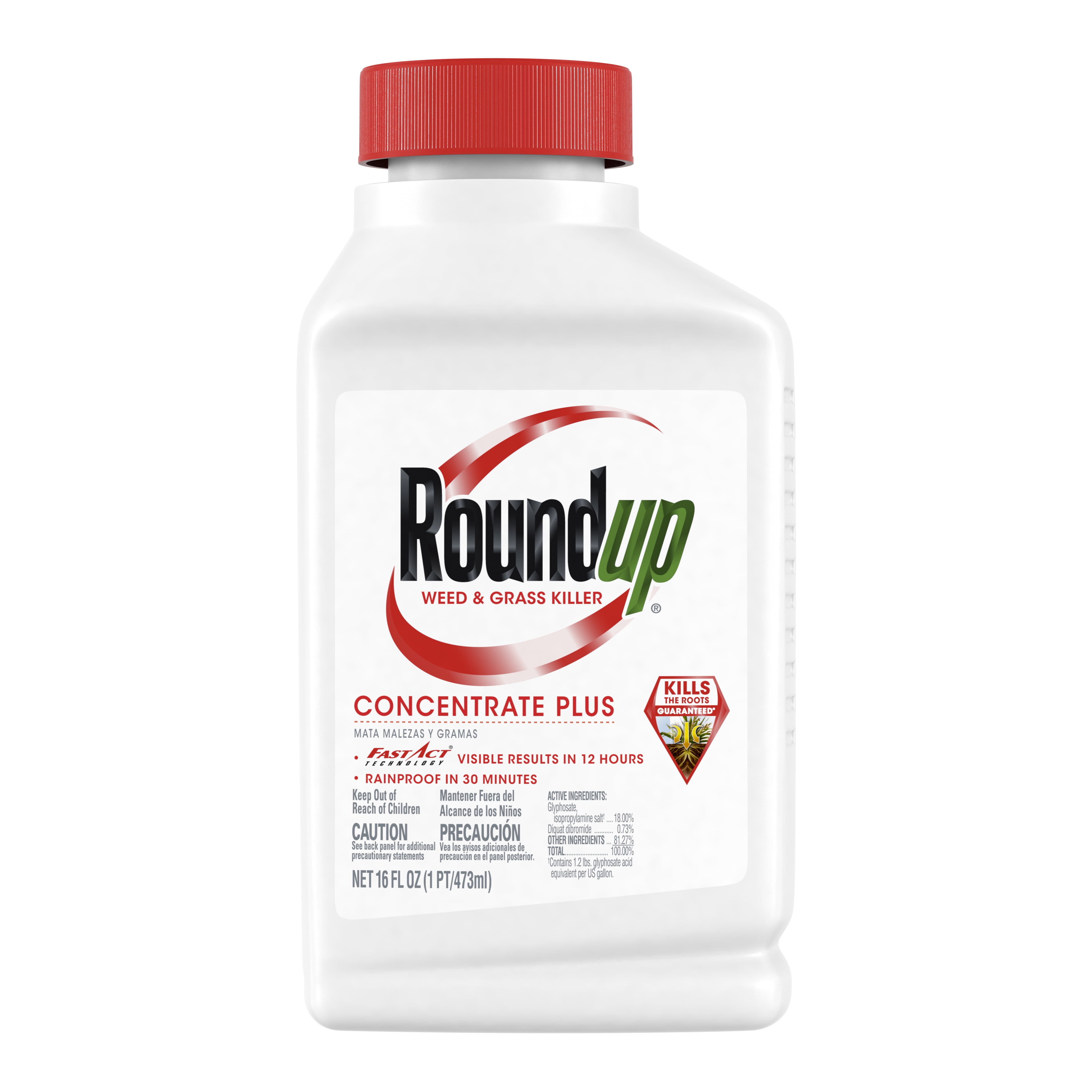 Roundup Concentrate Plus Weed And Grass Killer 16 Oz