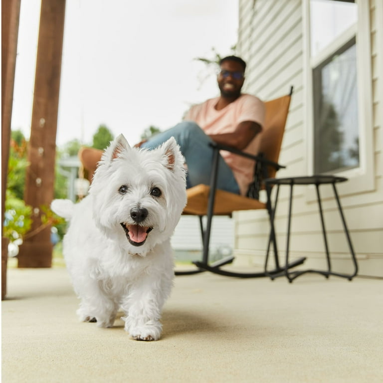 pack) Cesar Loaf And Topper Angus Beef With Bacon And Cheese Wet