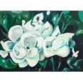 thumbnail image 2 of Beauchamp, Andy 32x25 White Modern Wood Framed Museum Art Print Titled - Green into White Orchids, 2 of 4