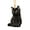 Black, variant on ROZYARD Decorative Black Cats Mirror Hanger Enhances Car Atmosphere & Reduces Fatigue