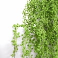 thumbnail image 6 of Artificial Hanging Succulents,29.53 Inch Fake String Of Pearls Greenery Plants,Fake Pearls Trailing Succulents,Decoration Fake Hanging Plants for Wall, Home, Garden, Indoor and Outdoor,Z_Green, 6 of 8
