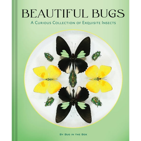 Beautiful Bugs: A Curious Collection of Exquisite Insects, (Hardcover)