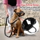 thumbnail image 3 of Mascarilla ajustable antimordedura para perro Collar para morder correa de nailon Wdftyju correa de entrenamiento para líder cinturón de líder antiladridos, 3 of 9