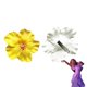 thumbnail image 1 of ZHAOCHENG Accesorio para el cabello con flores de Isabella, color amarillo playa, 1 of 3