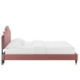 thumbnail image 4 of Modway Aviana Performance Velvet Twin Bed in Dusty Rose, 4 of 10