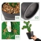 thumbnail image 3 of 2 piezas de cactus en maceta de plástico para decoración de escritorio, pequeñas figuras de cactus en maceta, decoración suculenta, 3 of 7