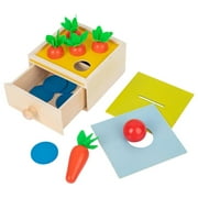 Montessori Toys Developmental Wooden Toys Carrots Harvest Educational Toys Shape