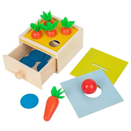 Montessori Toys Developmental Wooden Toys Carrots Harvest Educational Toys Shape