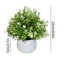 thumbnail image 3 of Byujiro Artificial Greenery Bonsai Small Potted Fake Plant Fake Plant Decor for Living Room Desk & Entryway, 3 of 6