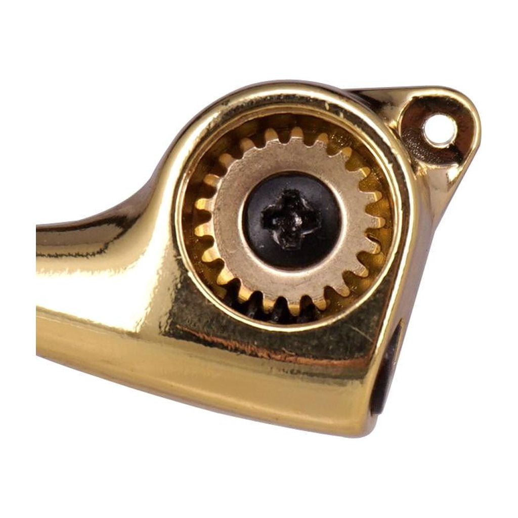 LeeQinersw 1:21 Fishtail Handle Sealed-gear Guitar Tuning Pegs for Guitar 6R Golden