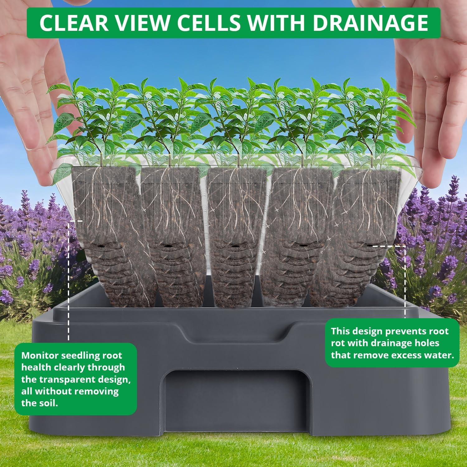 Adjustable Seed Starter Tray with Heated Germination Kit, Temperature Display, Humidity Dome, and Grow Light for Seedling Growth