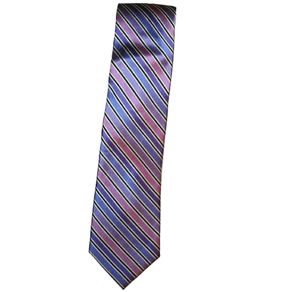 Arrow Men's Transition Striped Tie - Purple