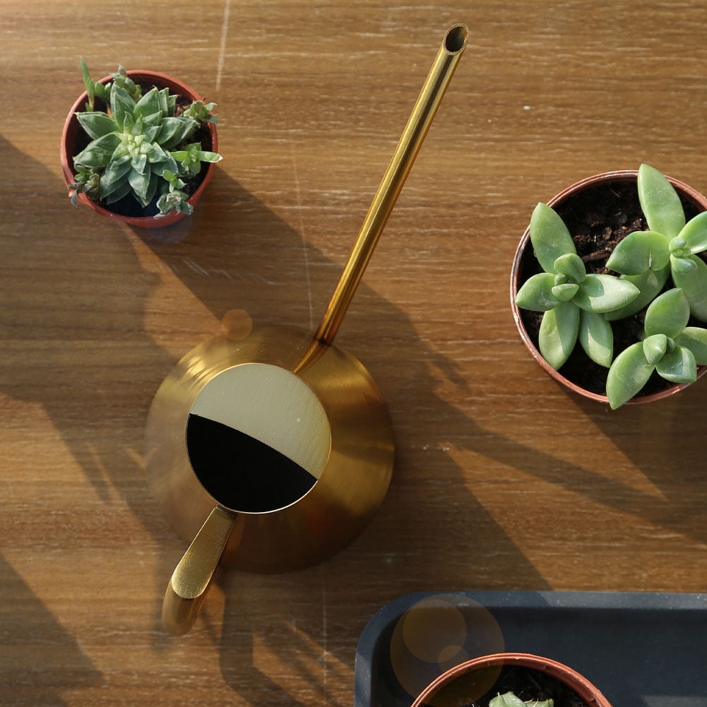 Garden Watering Can With Precise Long <span Style="background:red"></span> Spout, Perfect For Delicate Plants  Flowers