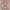 Red, variant on 5'x7' Boho Area Rugs for Living Room, Machine Washable Stain Resistant Non-Shed Carpet, Area Rug with Non-Slip Backing for Bedroom, Dining Room, Dorm, Office