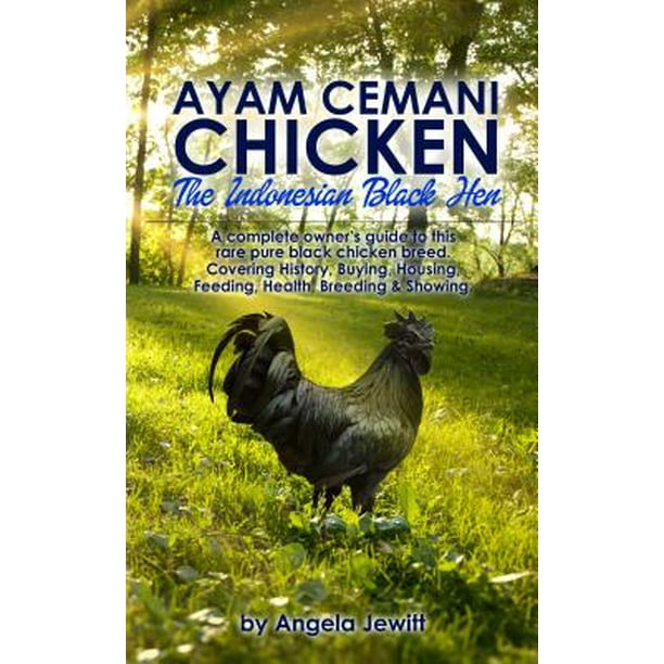 14+ Ayam Cemani Hen Price Pictures
