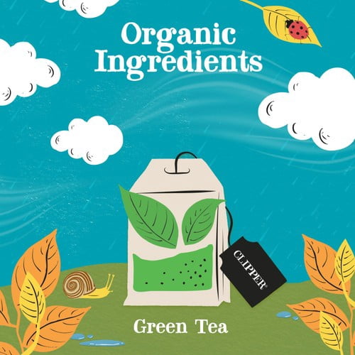 Clipper Organic Fairtrade Green Tea Bags 20's, British Import (Pack of 3)