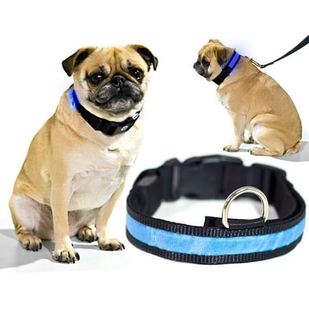 Nickel Blue Nylon Collar - Biltek Blue LED Light Dog Collar - Small - Dog Pet Night Safety Fashionable Flashing Light Up Collar Nylon Large Adjustable