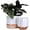 6.7"+5.4"-white Pink, variant on White Ceramic Flower Pots - 6.7 + 5.4 Inch Indoor Planters, Plant Containers in a Marble Ink Pattern with Rose Gold and Pink Detailing