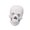White skull, variant on Misright Comprehensive 1:2 Scale Human Skull Anatomy Model With 17 Detachable Parts