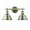 Silver, variant on Yep by Golden Lighting Orwell 2-light Vanity in Aged Brass