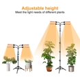 thumbnail image 3 of Moyic Luz de cultivo con soporte Luz de planta de espectro completo Luces de cultivo para plantas de interior Luz de cultivo con soporte de trípode Iluminación y accesorios Moyic HA036033-00, 3 of 6