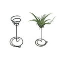 thumbnail image 1 of TABLETREANDS Iron Stand Para Plantas Air Pineapple En Negro Resistente Para Y Exhibición, 1 of 8