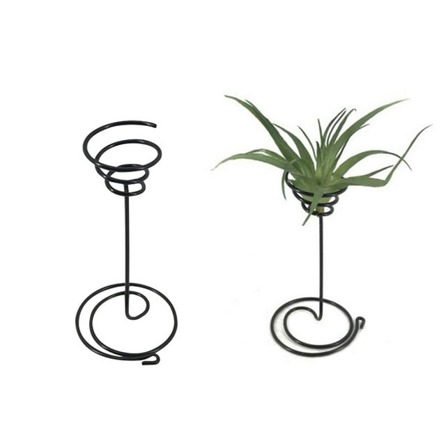 TABLETREANDS Iron Stand Para Plantas Air Pineapple En Negro Resistente Para Y Exhibición
