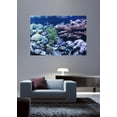thumbnail image 2 of Sumerlin Sea Coral II Wall Decal, 2 of 2