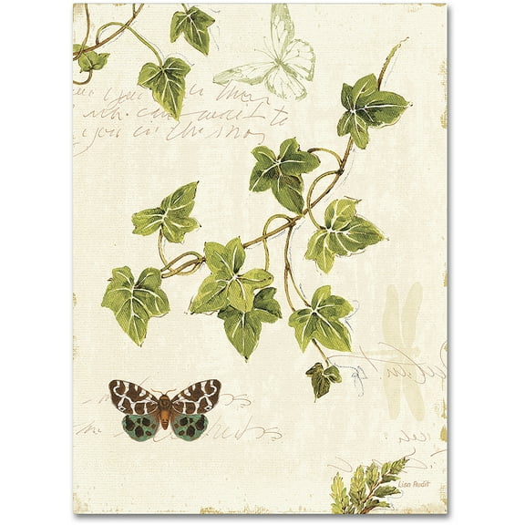 Trademark Fine Art "Ivies and Ferns II" Canvas Art by Lisa Audit